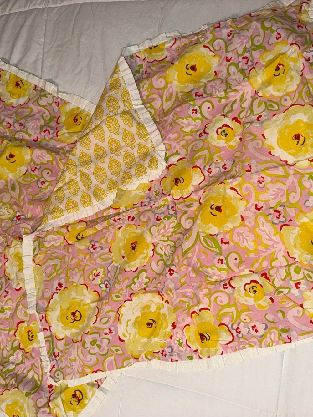 NIP Dena Home Jada Floral Euro Shams (2) Cottage core Granny Shabby Chic 26 X 26